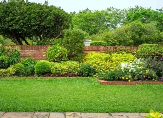 landscaping services Belford